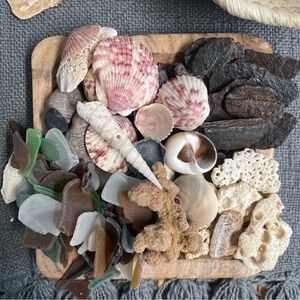Beach Shell & Seaglass Mix - Pink Scallops, Green + Brown Seaglass